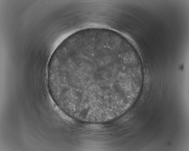 X0000114621287200912010952