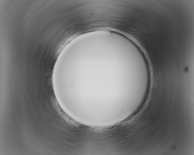 X0000114621289200912010952