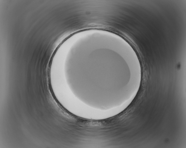 X0000114621291200912010952