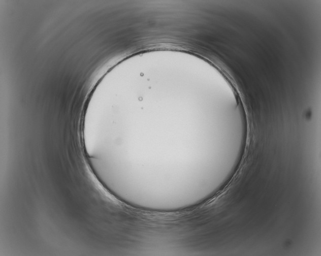 X0000114621293200912010952