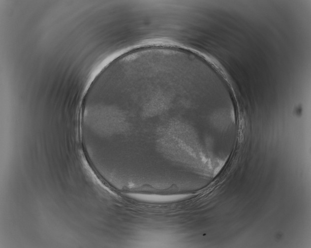 X0000114621295200912010952