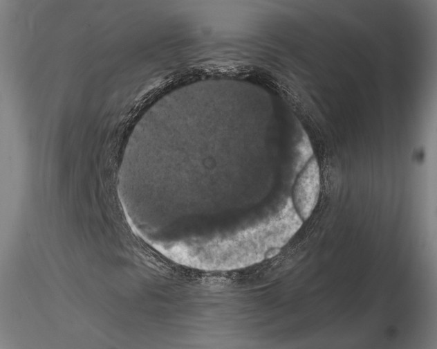 X0000114621297200912010951