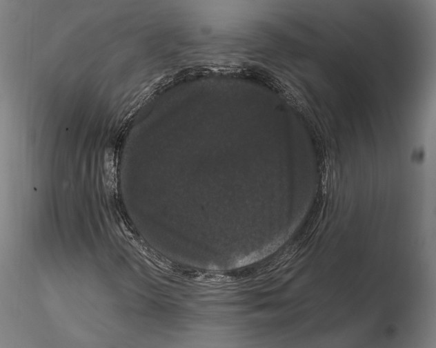 X0000114621298200912010951