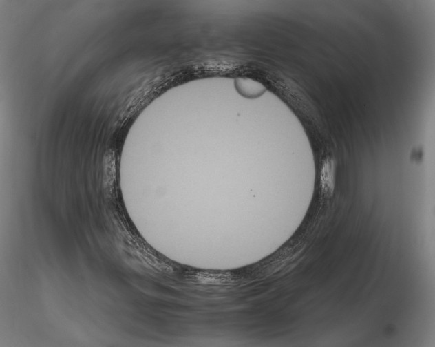 X0000114621299200912010951