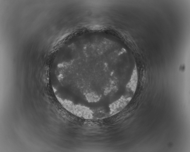 X0000114621301200912010951