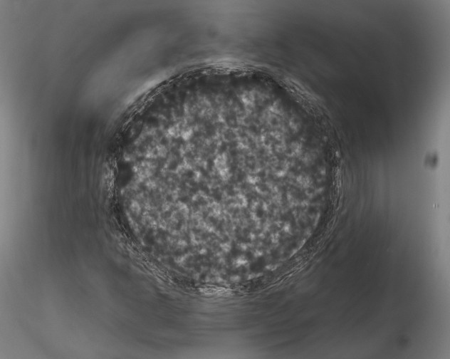 X0000114621302200912010951