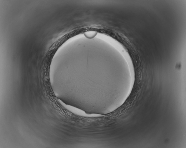 X0000114621303200912010951