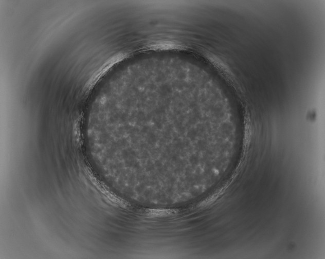 X0000114621305200912010951