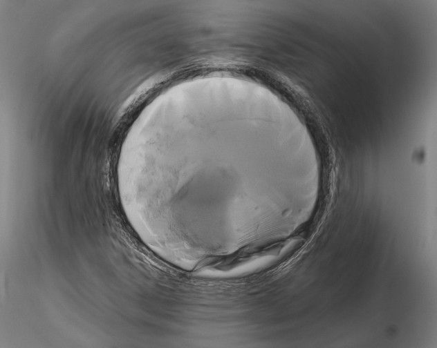 X0000114621306200912010951