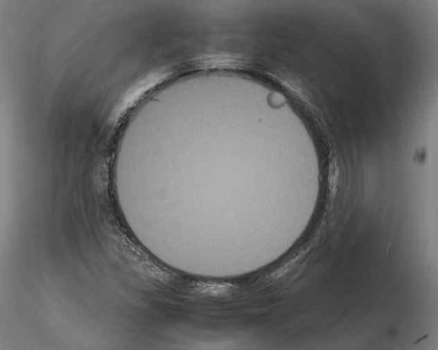 X0000114621309200912010951