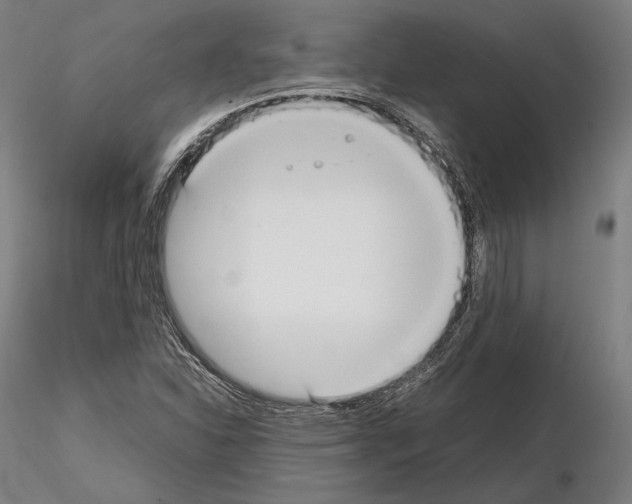 X0000114621310200912010951