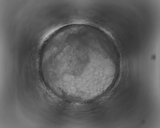 X0000114621311200912010951