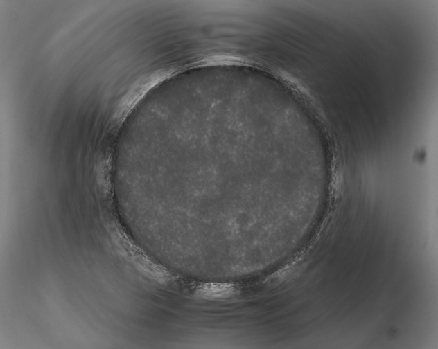 X0000114621313200912010951