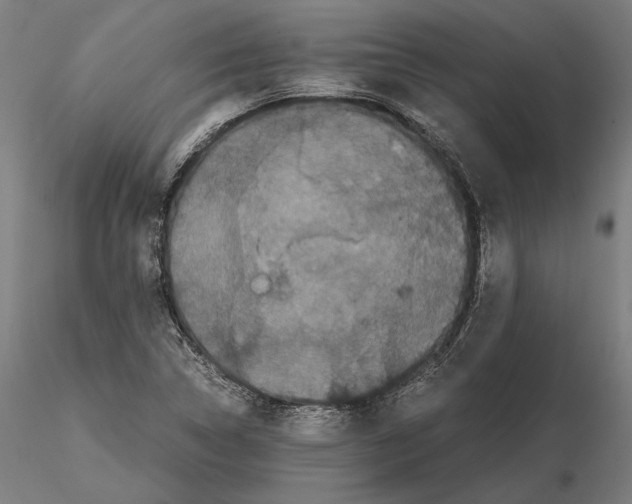 X0000114621314200912010951