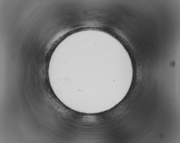 X0000114621315200912010951