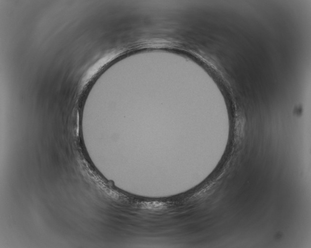 X0000114621317200912010951