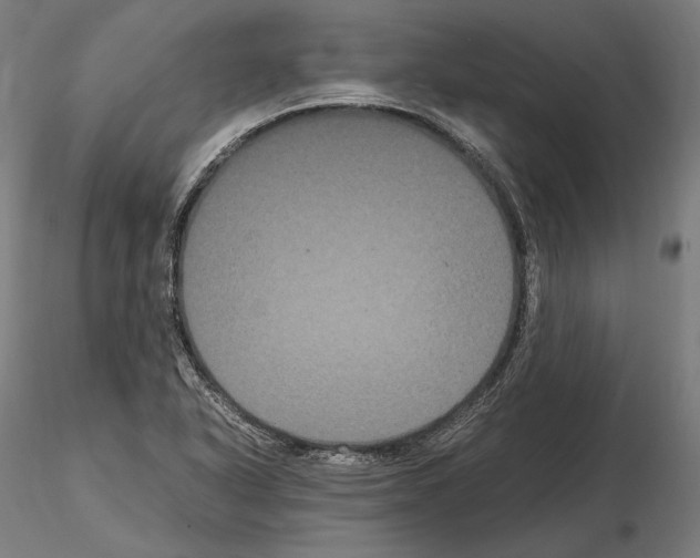 X0000114621318200912010951