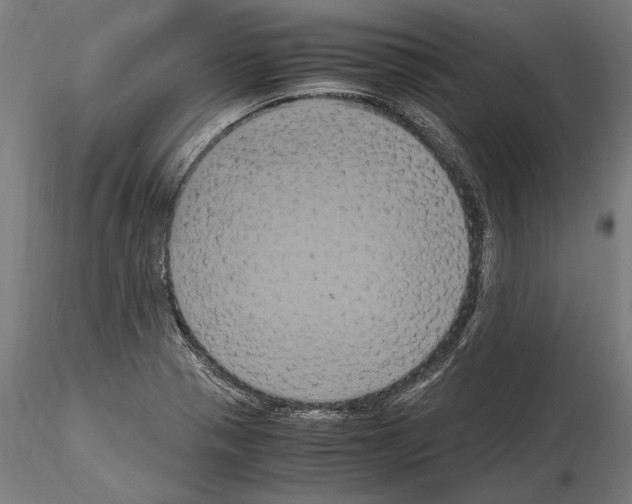 X0000114621321200912010952