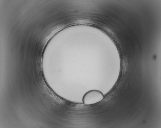 X0000114621322200912010952