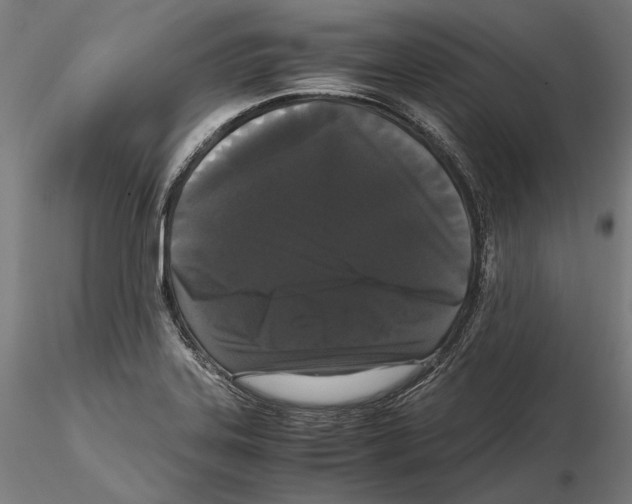 X0000114621323200912010952