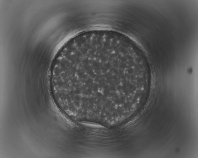 X0000114621325200912010952