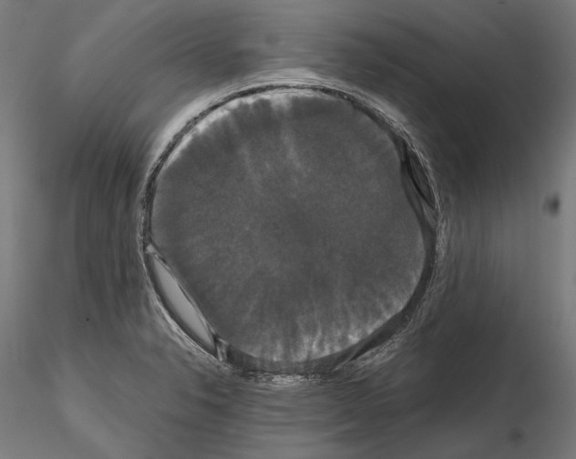 X0000114621326200912010952