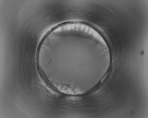 X0000114621327200912010952