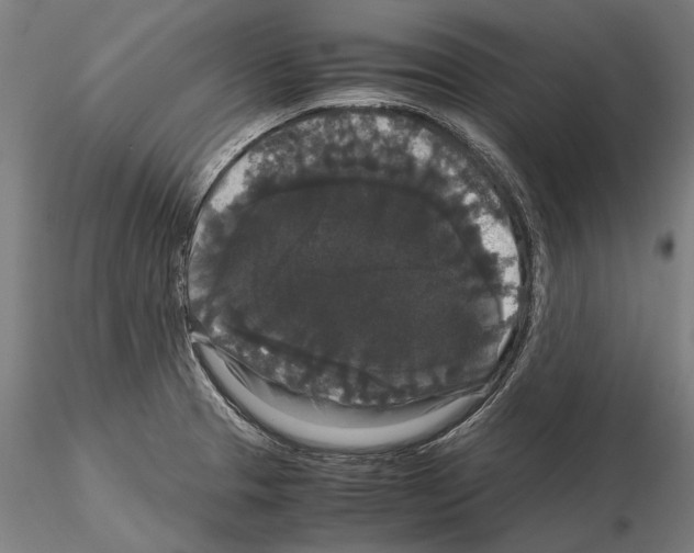 X0000114621329200912010952