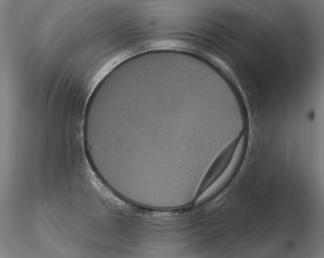 X0000114621330200912010952