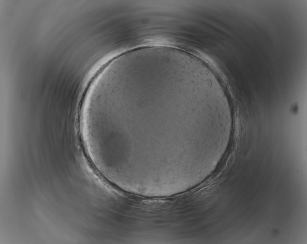 X0000114621331200912010952