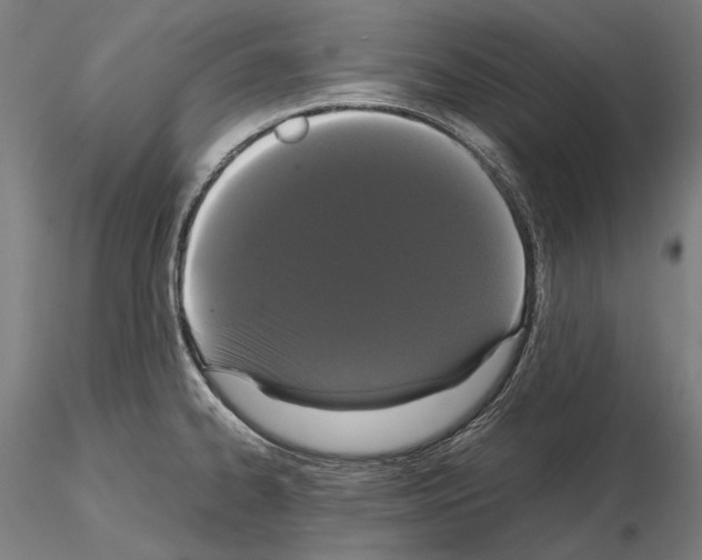 X0000114621334200912010952