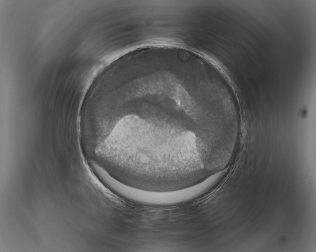 X0000114621335200912010952