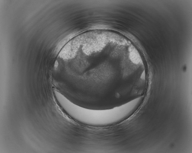 X0000114621337200912010952