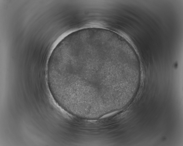 X0000114621339200912010952