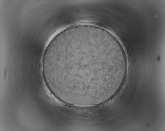 X0000114621341200912010952