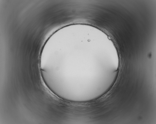 X0000114621342200912010952