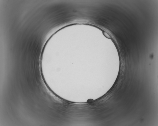 X0000114621343200912010952