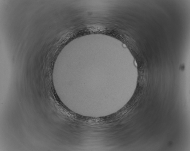 X0000114621345200912010951