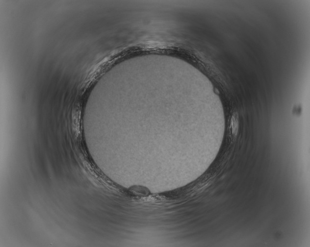 X0000114621348200912010951