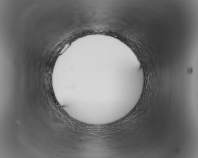 X0000114621349200912010951