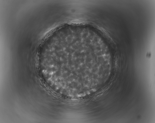 X0000114621350200912010951