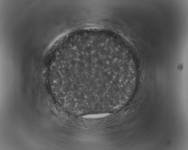 X0000114621351200912010951