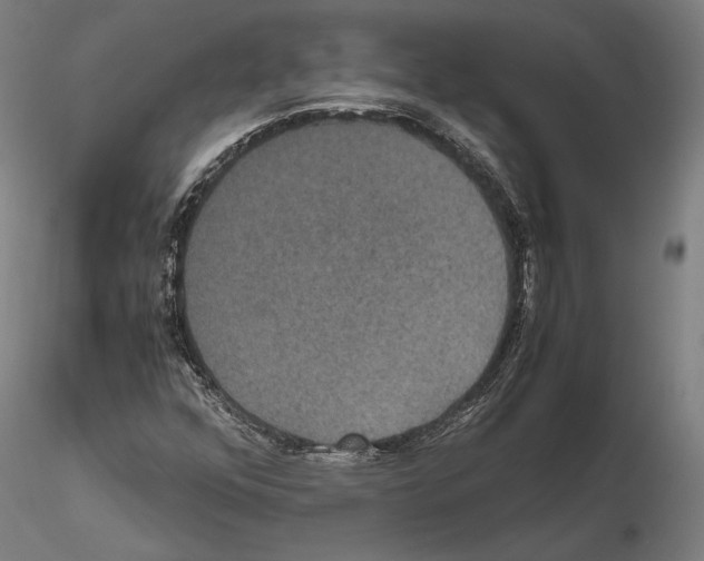 X0000114621352200912010951