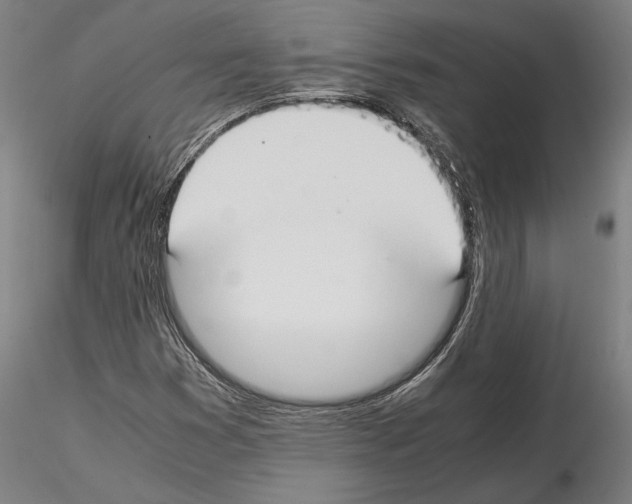 X0000114621353200912010951