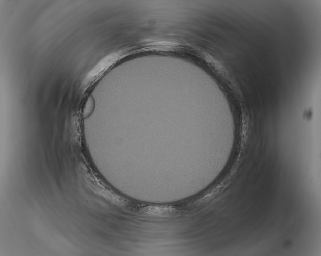 X0000114621354200912010951