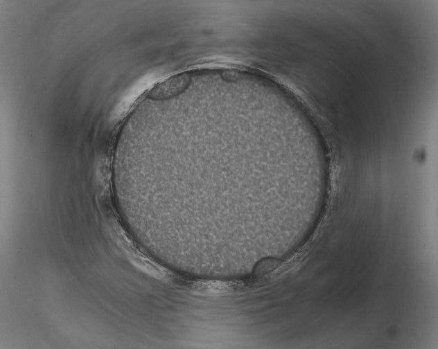 X0000114621355200912010951