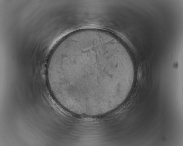 X0000114621356200912010951