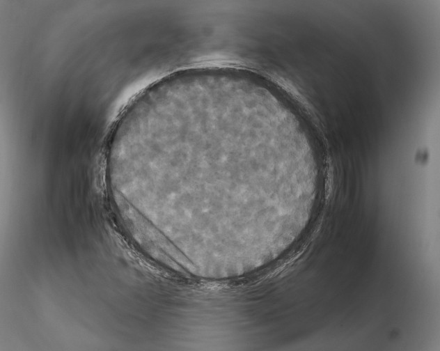 X0000114621358200912010951