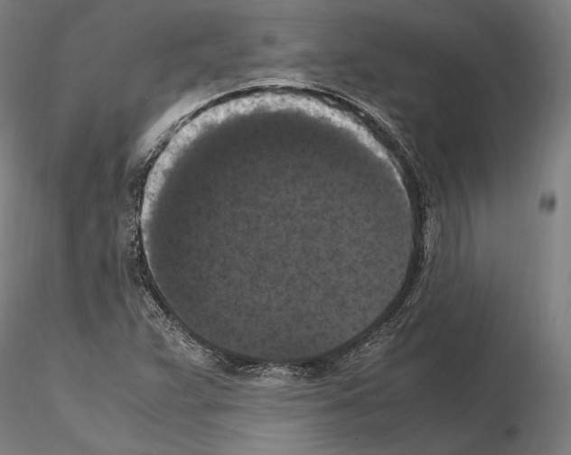 X0000114621359200912010951