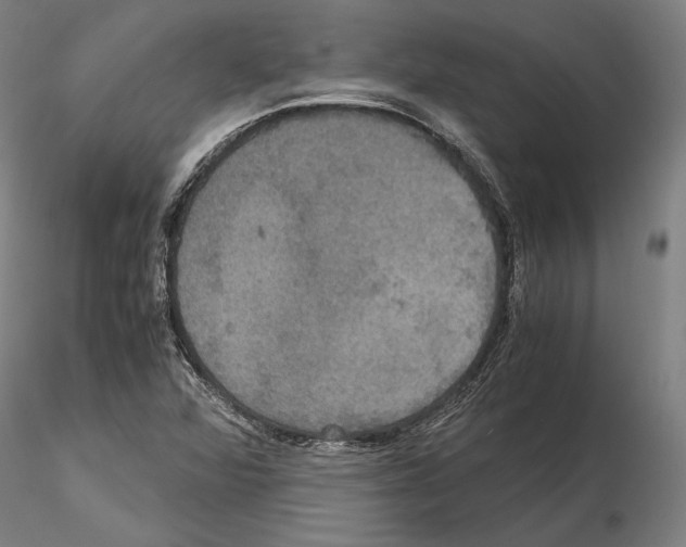 X0000114621360200912010951